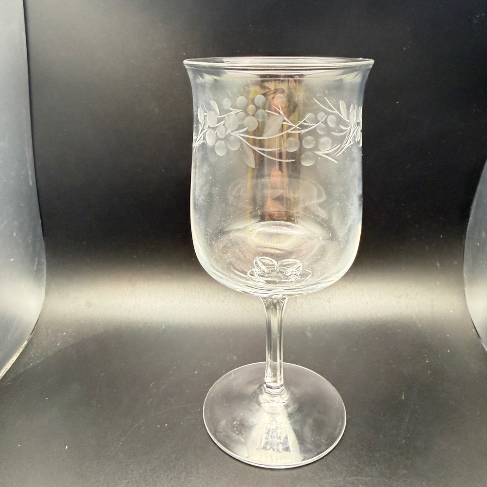 Lenox Spring Frost Crystal Water Goblet Etched Frosted Floral Berry 7.25 Inch